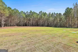 779 Alex Stephens Rd, Moreland, GA 30259 - Photo 52