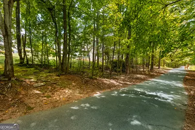 132 Sea Island Drive, Peachtree City, GA 30269 - Photo 38