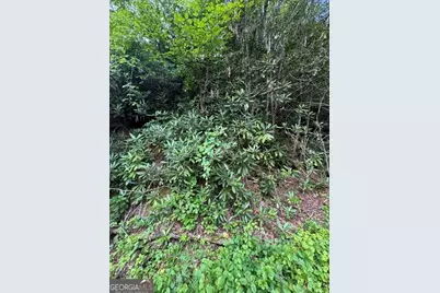 0 Crest Lane #LOT 5, Rabun Gap, GA 30568 - Photo 4