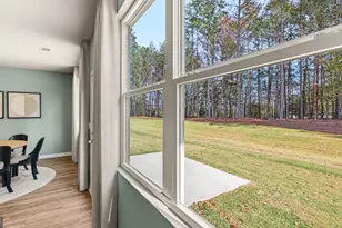 170 White Spruce Way, Newnan, GA 30265 - Photo 40