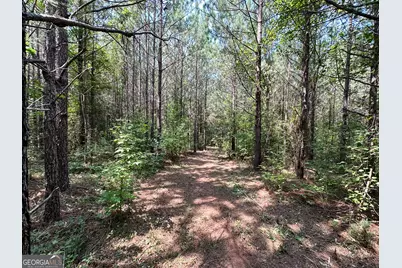 0 Jordan Road #17.79 ACRES, Monticello, GA 31064 - Photo 24