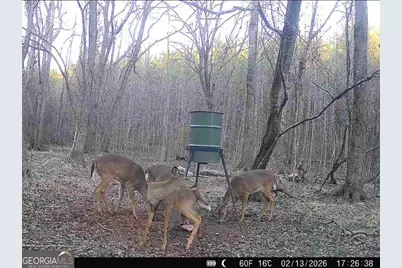 0 Jordan Road #17.79 ACRES, Monticello, GA 31064 - Photo 14