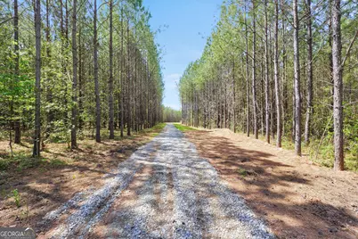 0 Jordan Road #17.79 ACRES, Monticello, GA 31064 - Photo 8