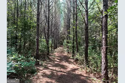 0 Jordan Road #17.79 ACRES, Monticello, GA 31064 - Photo 38