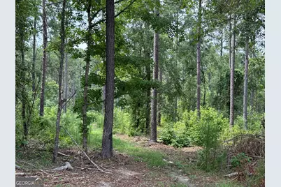 2449 H B Dixon Road, Sparta, GA 31087 - Photo 82