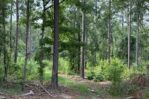 2449 Hb Dixon Rd, Sparta, GA 31087 - Photo 82