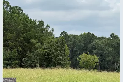 2449 H B Dixon Road, Sparta, GA 31087 - Photo 84