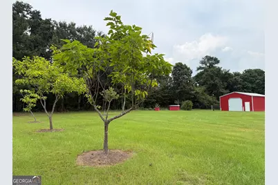 2449 H B Dixon Road, Sparta, GA 31087 - Photo 10