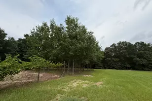 2449 Hb Dixon Rd, Sparta, GA 31087 - Photo 64