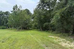 2449 Hb Dixon Rd, Sparta, GA 31087 - Photo 86