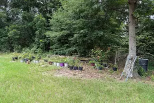 2449 Hb Dixon Rd, Sparta, GA 31087 - Photo 74