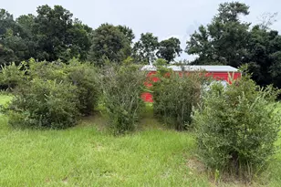 2449 Hb Dixon Rd, Sparta, GA 31087 - Photo 82