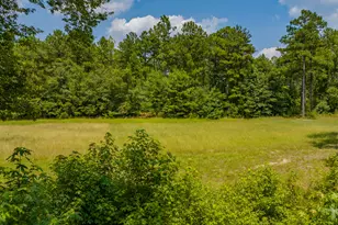 2449 Hb Dixon Rd, Sparta, GA 31087 - Photo 92