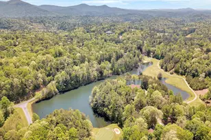 120 Shenendoa Dr, Ellijay, GA 30540 - Photo 62