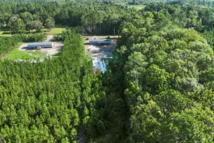 1225 Bradwell Dunham Rd, Ludowici, GA 31316 - Photo 36