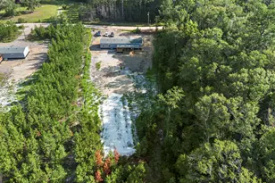 1225 Bradwell Dunham Rd, Ludowici, GA 31316 - Photo 30