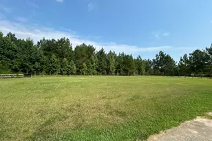 745 Ga Hwy 338, Dudley, GA 31022 - Photo 18