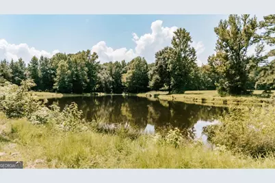 6 Burt Road, Carlton, GA 30627 - Photo 46