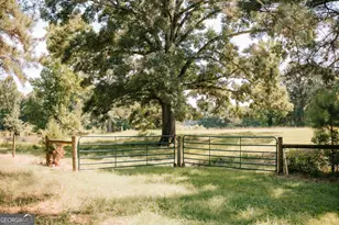 6 Burt Rd, Carlton, GA 30627 - Photo 42