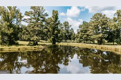 6 Burt Road, Carlton, GA 30627 - Photo 48