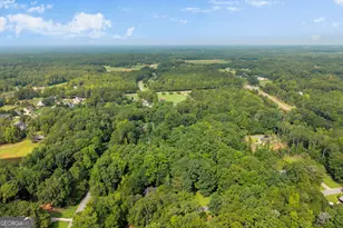 1060 Sharon Pl, Watkinsville, GA 30677 - Photo 48