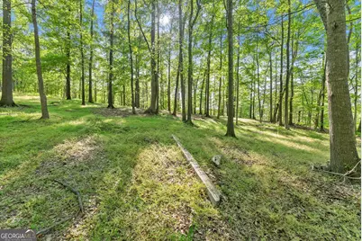 360 Davenport Road, Braselton, GA 30517 - Photo 14
