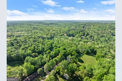 360 Davenport Road, Braselton, GA 30517 - Photo 16