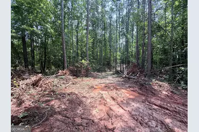 6887 Mt Zion Road, Waco, GA 30182 - Photo 2
