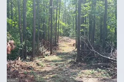6887 Mt Zion Road, Waco, GA 30182 - Photo 1
