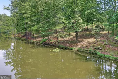 209 Amberleigh Circle, White, GA 30184 - Photo 46