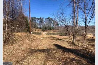 0 Highway 115 E, Cleveland, GA 30528 - Photo 8