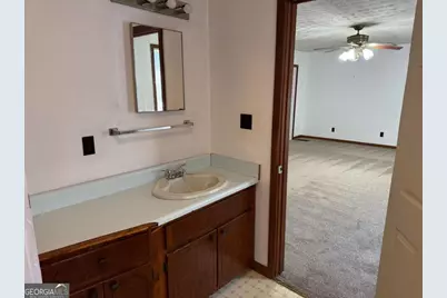 313 Carter Street, Greenville, GA 30222 - Photo 14