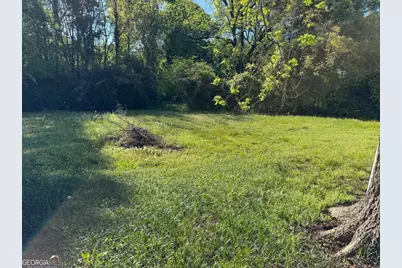 313 Carter Street, Greenville, GA 30222 - Photo 18
