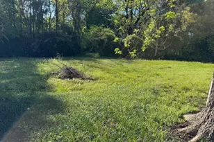 313 Carter St, Greenville, GA 30222 - Photo 18