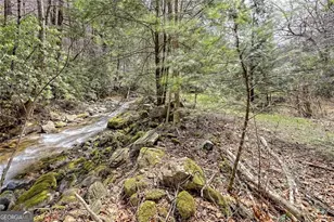2960 Tate City Rd, Hayesville, NC 28904 - Photo 48