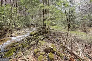 2960 Tate City Rd, Hayesville, NC 28904 - Photo 48