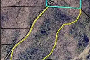 467 Gilliam Rd, Mineral Bluff, GA 30559 - Photo 2