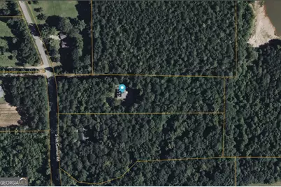 421 S Mount Carmel Road, McDonough, GA 30253 - Photo 66
