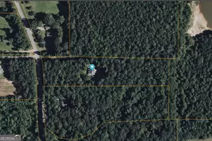 421 S Mt Carmel Rd, McDonough, GA 30253 - Photo 66