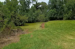 238 Winchester Dr, Douglas, GA 31535 - Photo 6