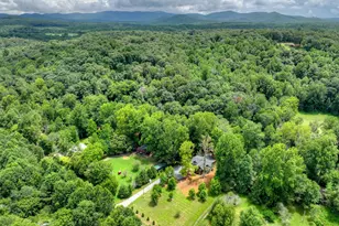 260 Misty Valley, Ellijay, GA 30536 - Photo 54