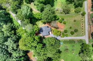 260 Misty Valley, Ellijay, GA 30536 - Photo 44