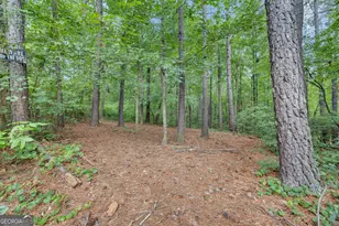 200 Cedar Rd, Covington, GA 30016 - Photo 46