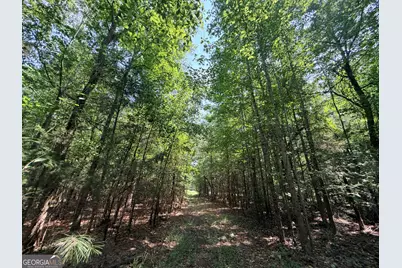 2 Mallorysville Road, Tignall, GA 30668 - Photo 42