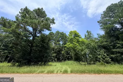 2 Mallorysville Road, Tignall, GA 30668 - Photo 8