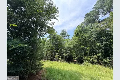 2 Mallorysville Road, Tignall, GA 30668 - Photo 12