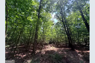 2 Mallorysville Road, Tignall, GA 30668 - Photo 36