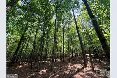 2 Mallorysville Road, Tignall, GA 30668 - Photo 38