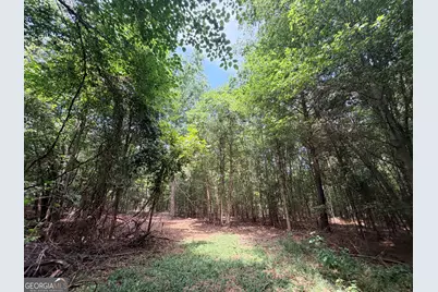 2 Mallorysville Road, Tignall, GA 30668 - Photo 16