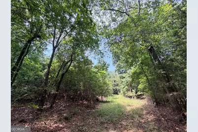 2 Mallorysville Road, Tignall, GA 30668 - Photo 14